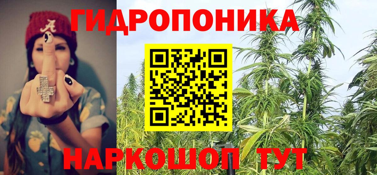 Всеволожск  Конопля сатива  Вход с VPN  Марихуана сатива  Марихуана конопля  Канабис OG Kush 